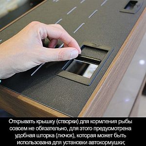 Аквариум START-UP 70 венге, светильник LED 11 Вт, комплект оборудования