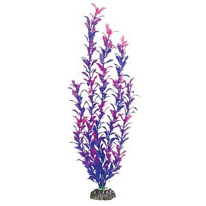 Растение Laguna «Людвигия фиолетовая», 500 мм