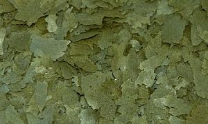 Корм Biodesign СПИРУЛИНА & ХЛОРЕЛЛА 25% для растительноядных видов рыб, хлопья 5,8 л