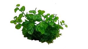 Композиция PRIME из пластиковых растений, 15см M<sup>624</sup>