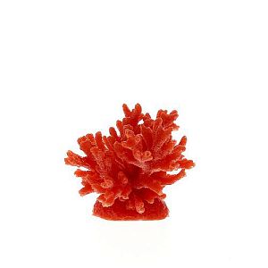 Коралл VITALITY мягкий, пластик, красный, 8x8×6,5 см