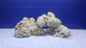 Камень сухой рифовый L, 15&times;20&nbsp;см, 800&minus;1200&nbsp;г