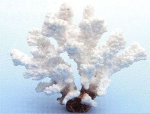 Коралл VITALITY пластик, белый, 14,5×7,2×12,5 см