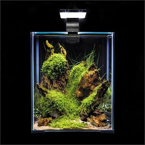 Cветильник Aquael LEDDY SMART 4.8W SUNNY DAY&NIGHT черный, 4,8 Вт