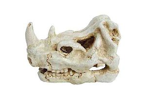 Декорация пластиковая PRIME Череп носорога 7.5х5×5 см