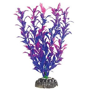 Растение Laguna «Людвигия фиолетовая», 200 мм
