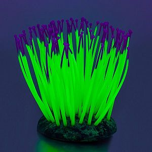 Флуоресцентная аквариумная декорация GLOXY Морской анемон зеленый, 9,5&times;8,5&times;9&nbsp;см