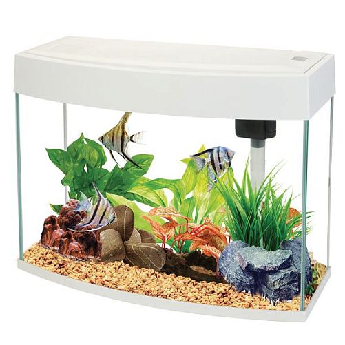 Аквариум AA-Aquariums BasicP 20 л, панорамный белый, 440х190х360 мм