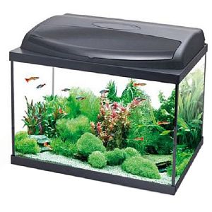 Aquael Aqua4Home 40 аквариум прямой, 30 л