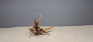 Коряга Сакура S, 15&minus;25&nbsp;см