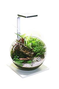 Флорариум GLOXY Flora на подставке, светлое дерево, светильник 8 Вт, 6,5 л