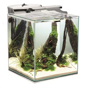 Aквариум Aquael FISH&SHRIMP SET DUO D&N 35, белый 49 л