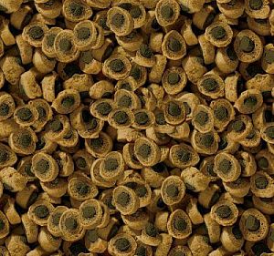 Корм Sera REPTIL PROFESSIONAL HERBIVOR для растительноядных рептилий, 10&nbsp;л