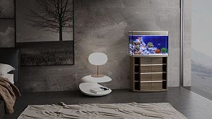Аквариум Псевдоморе с тумбой STELLEX AQUA 135, 135 л, 81x41×132 см