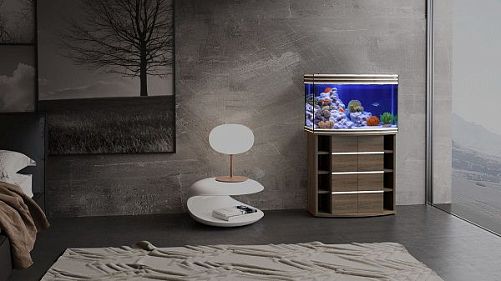 Аквариум Псевдоморе с тумбой STELLEX AQUA 135, 135 л, 81x41x132 см