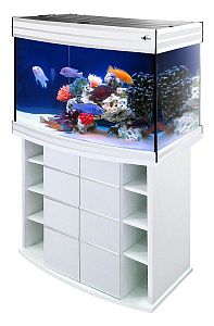 Морской аквариум с тумбой STELLEX AQUA 135, 135 л, 81x41×132 см