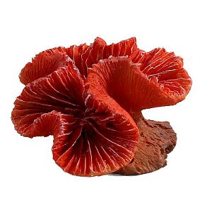 Коралл Laguna искусственный «Каталофиллия» красная, 70х65×40 мм
