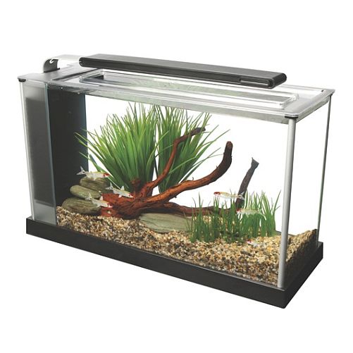 Fluval SPEC аквариум, 19 л, черный