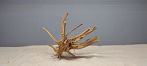 Коряга Сакура S, 15&minus;25&nbsp;см