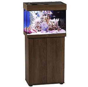 Аквариум Псевдоморе с тумбой STELLEX AQUA 60, 60 л, 56х32×118 см