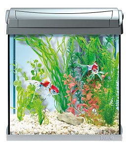 Tetra AquaArt Goldfish Discover Line аквариумный комплект, черный, 30&nbsp;л