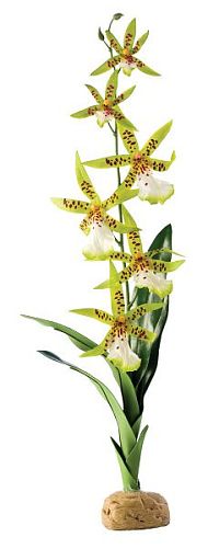 Искусственное растение Exo Terra Spider Orchid, Паучья орхидея