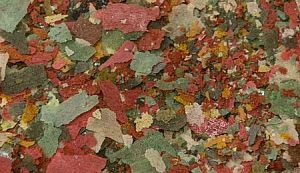 Корм Biodesign БАЗИК для всех видов рыб, хлопья 11 л