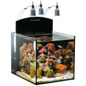 Aqua Medic  Blenny морской аквариум без тумбы, 80 л от интернет-магазина STELLEX AQUA