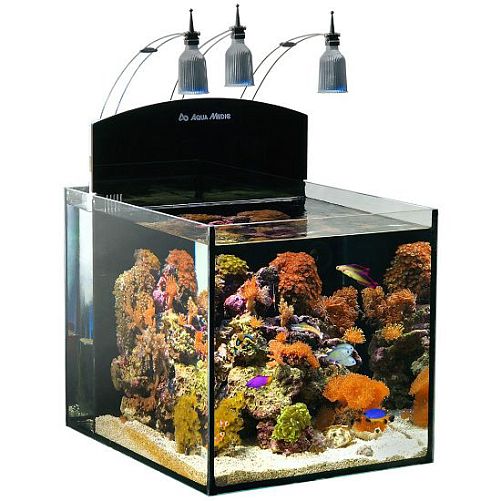 Aqua Medic  Blenny морской аквариум без тумбы, 80 л