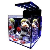 Aqua Medic "Blenny advanced" аквариум нанорифовый, без тумбы, 80 л от интернет-магазина STELLEX AQUA