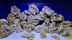 Камень сухой рифовый, цена за&nbsp;1&nbsp;кг