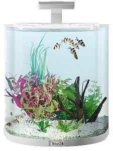 Tetra AquaArt Explorer Line аквариум белый, 60&nbsp;л