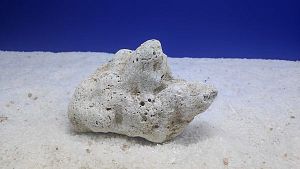 Камень сухой рифовый M, 10×15 см, 400−800 г