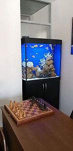 Аквариум по&nbsp;индивидуальному проекту (210&nbsp;л) с&nbsp;тумбой и&nbsp;комплектом оборудования, цвет черный