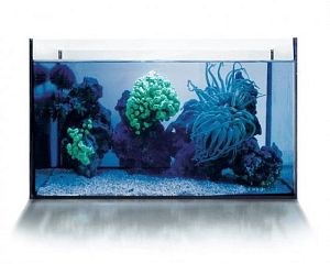 Лампа флуоресцентная Arcadia Т5 Marine Blue 420 Actinic 80 Вт, 1450 мм