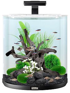 Tetra AquaArt Explorer Line аквариум белый, 60 л