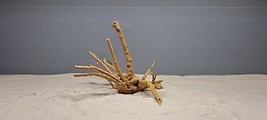 Коряга Сакура S, 15&minus;25&nbsp;см