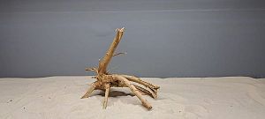 Коряга Сакура S, 15&minus;25&nbsp;см