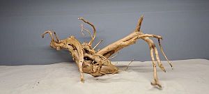 Коряга Сакура М, 30&minus;40&nbsp;см