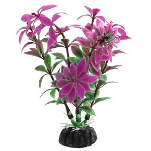 Растение Laguna «Ротала» сиреневая, 100 мм