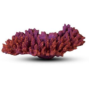 Коралл Белиз-1&nbsp;Темно-фиолетовый 28х19&times;10&nbsp;см