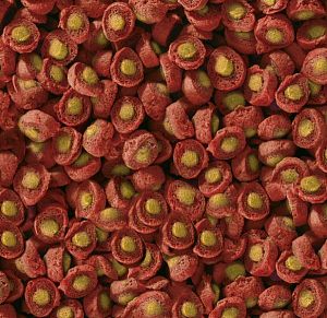 Корм Sera KOI Professional Spring/Autumn для кои в сезон весна/осень, 7 кг