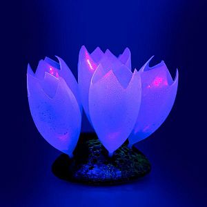 Флуоресцентная декорация GLOXY Морской желудь, 9.8×7.5×11 см