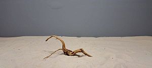 Коряга Сакура мини, до&nbsp;10&nbsp;см