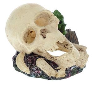 Декор Barbus Череп 8*8*6,5 см