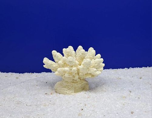 Кр-100 Коралл Белый, 13х10х10 см