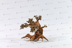 Коряга Aquadeco Аква Бонсай, 30&minus;40&nbsp;см