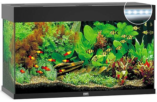 Аквариум JUWEL Rio 125 LED прямоугольный с оборудованием , 125 л, черный, 810*360*500мм