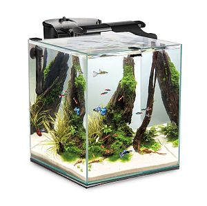 Aквариум Aquael SHRIMP SET DUO LED черный, 49&nbsp;л, 35х35&times;40&nbsp;см