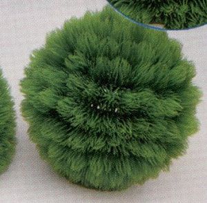VITALITY Коврик-шар, пластик, зеленый, D=14 см  (2865−14)
